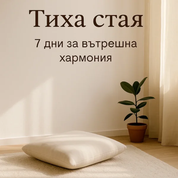 Програма: Тиха стая – 7 дни за вътрешна хармония
